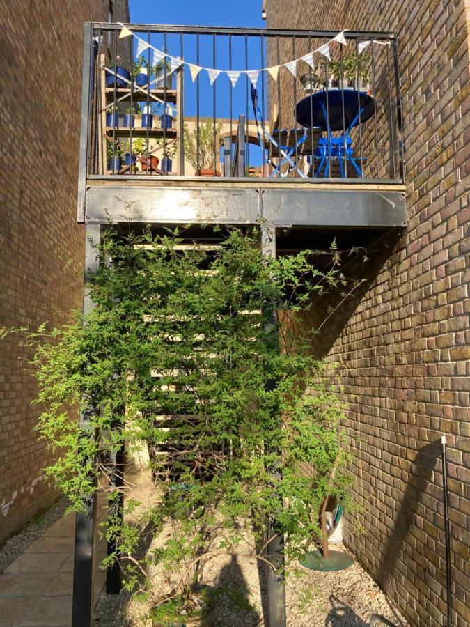 莱姆里吉斯No 12住宿加早餐旅馆 外观 照片